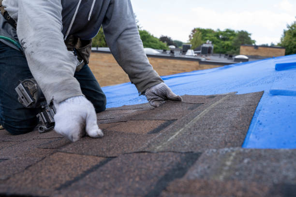Best Metal Roofing Contractor  in Combine, TX